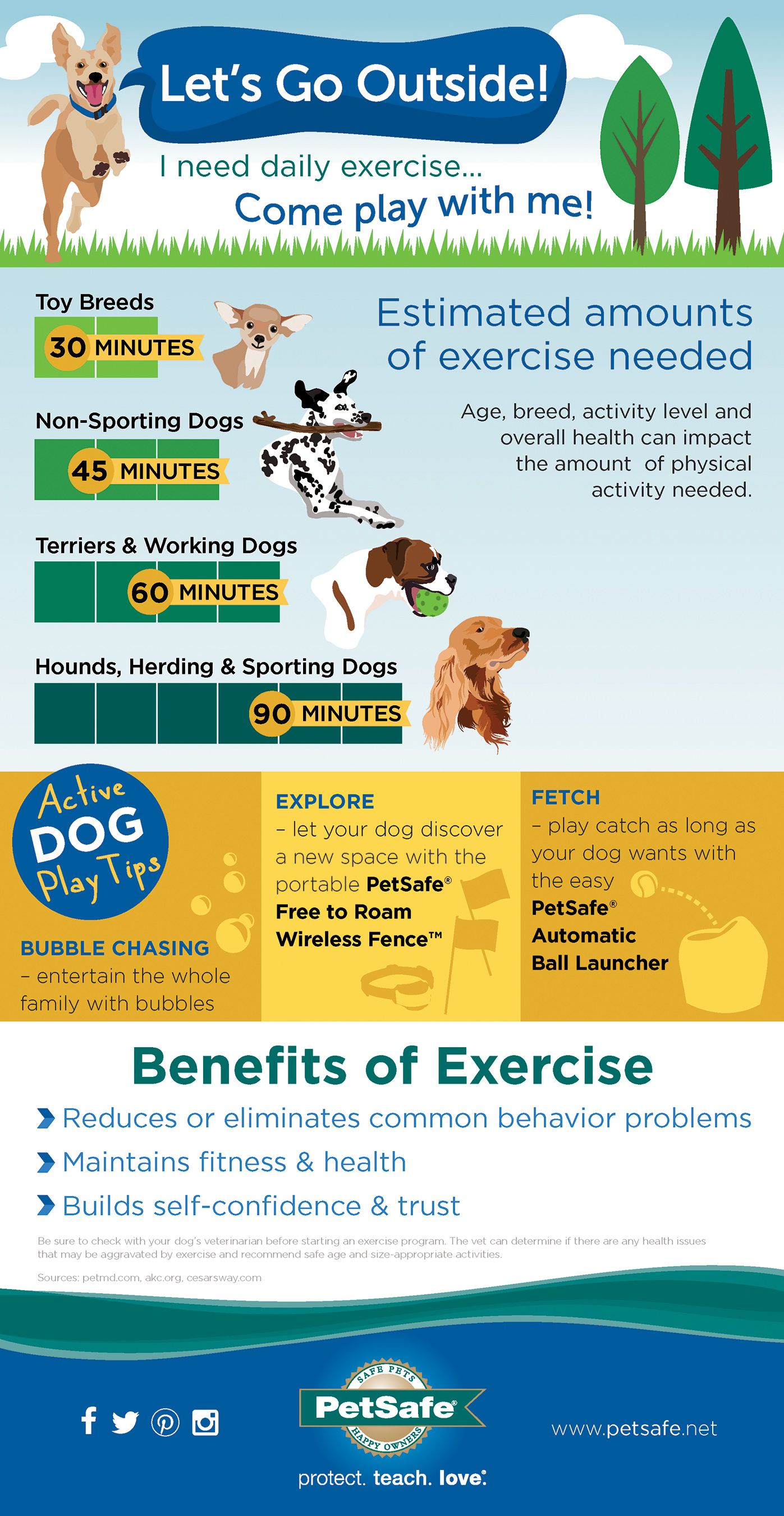 how much exercise do dogs need