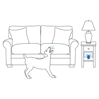 Unit placed on flat surface
