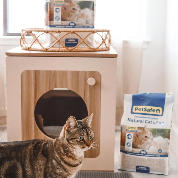 family and cat and automatic litter box