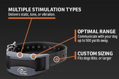 Infographic labelling features of collar