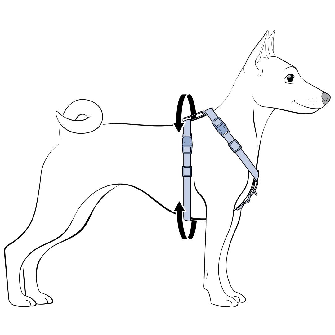 Measure Girth of Your Dog