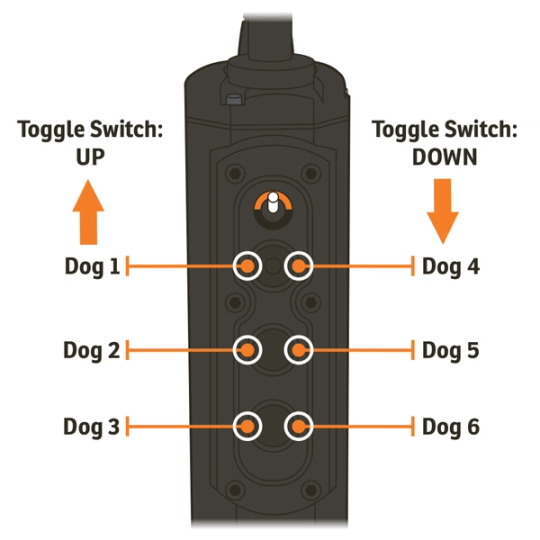 SD-2525_Remote in multiple-dog mode