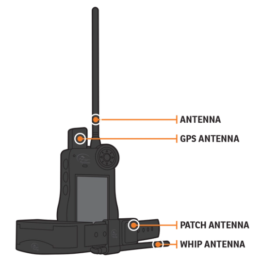 Remote and Collar Antenna