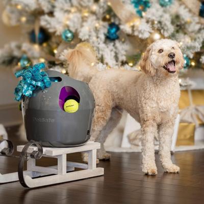 10 holiday gift ideas for dogs who have it all
