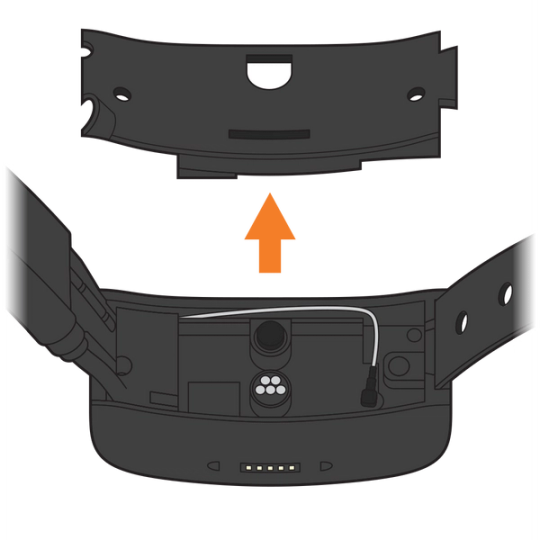 Remove backplate
