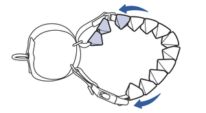 fit-soft-point-training collar-to-dog-illustration3
