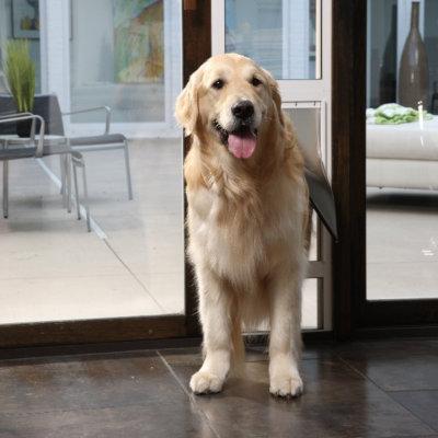 PetSafe® helps you and your pets break through glass barriers with our Freedom® Patio Panel Pet Doors