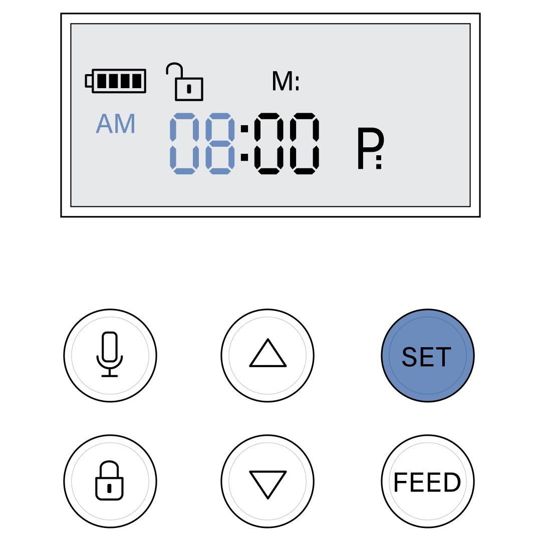 Hour Field And Set Button