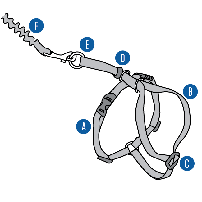 come-with-me-kitty-cat-harness-bungee-leash-diagram-illustration