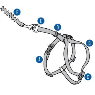 come-with-me-kitty-cat-harness-bungee-leash-diagram-illustration