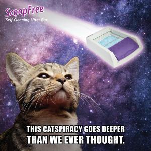 Learn the Truth About the PetSafe® ScoopFree® Self-Cleaning Litter Box