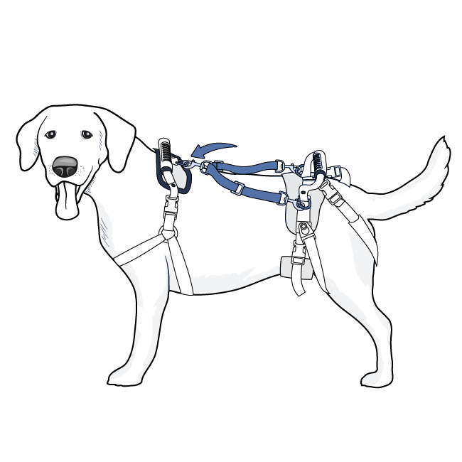 setup-rear-harness-care-lift-support-harness-illustration5