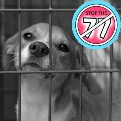 stop the 77