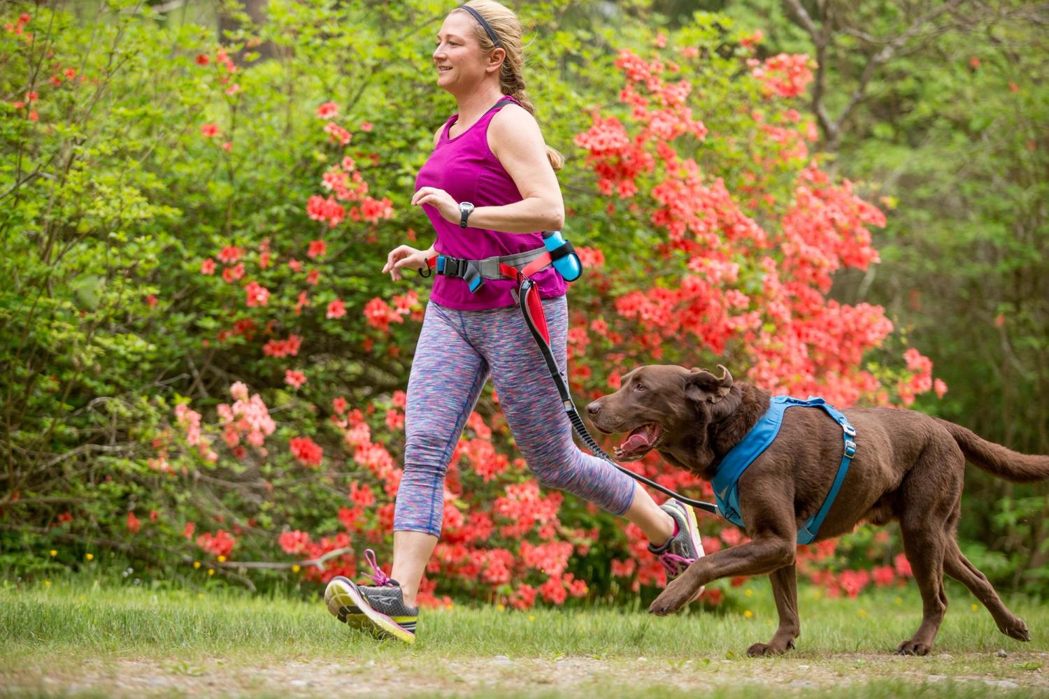 Tips for Running with Your Dog