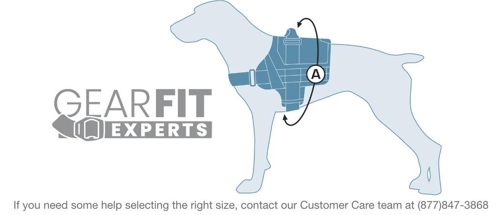 RSG Dog Townie Harness