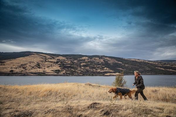 ​“The Adventure Dog” Holiday Gift Guide 2019