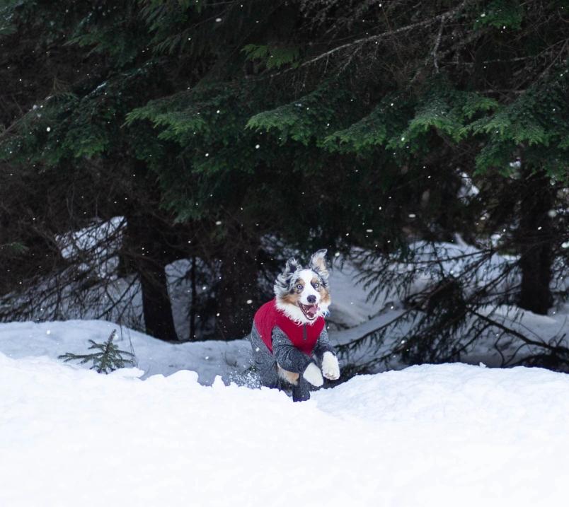 How To: Winter Trail Running