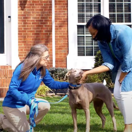 Trainer interacting with dog and owner outside. 