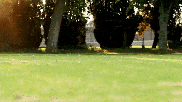 gif of dog running along animated fence line