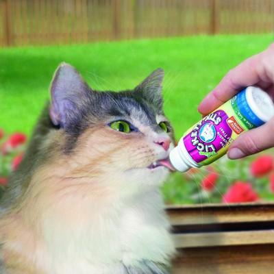 cat treat