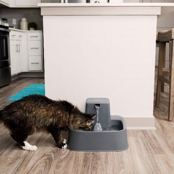 PetSafe® Drinkwell® pet fountains keep the slow burn of pet dehydration at bay