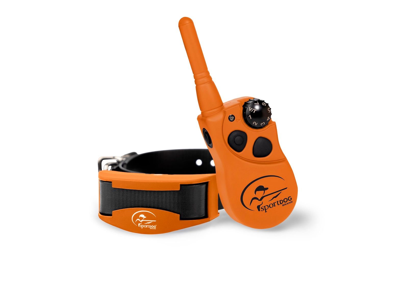 dog wearing FieldTrainer collar