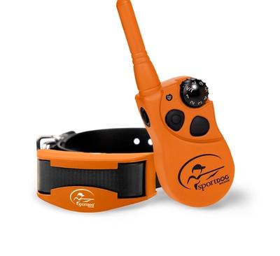 dog wearing FieldTrainer collar