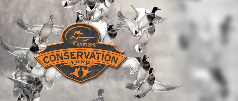 SportDOG Conservation Fund logo in the foreground with an image of ducks flying in the background