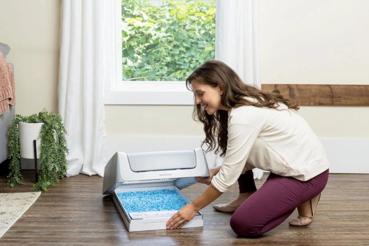 woman and litter box and litter tray