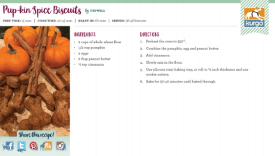 Holiday Recipe: Pup-kin Spice Biscuits