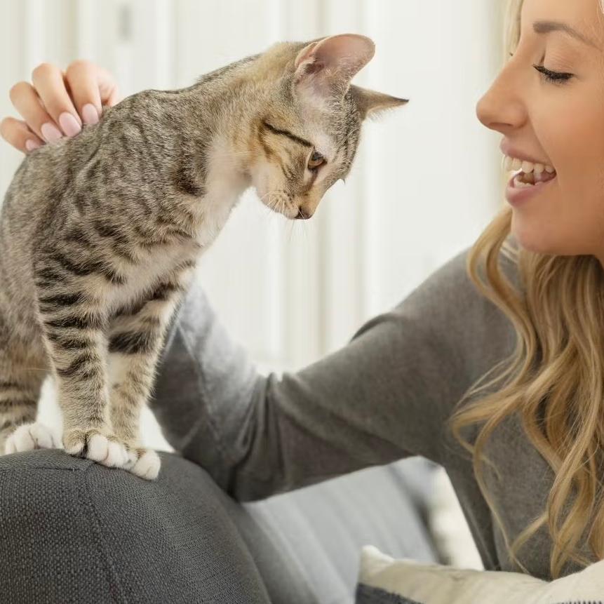 Woman holding her cat affectionately