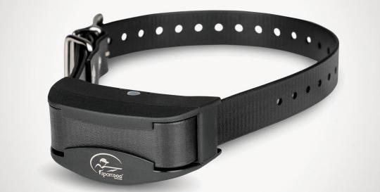 SportDOG NoBark SBC-10 Product Image