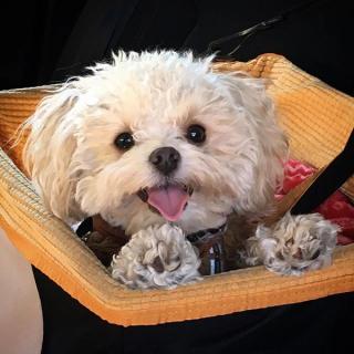 Your Best Instagram Roadtrip Shots