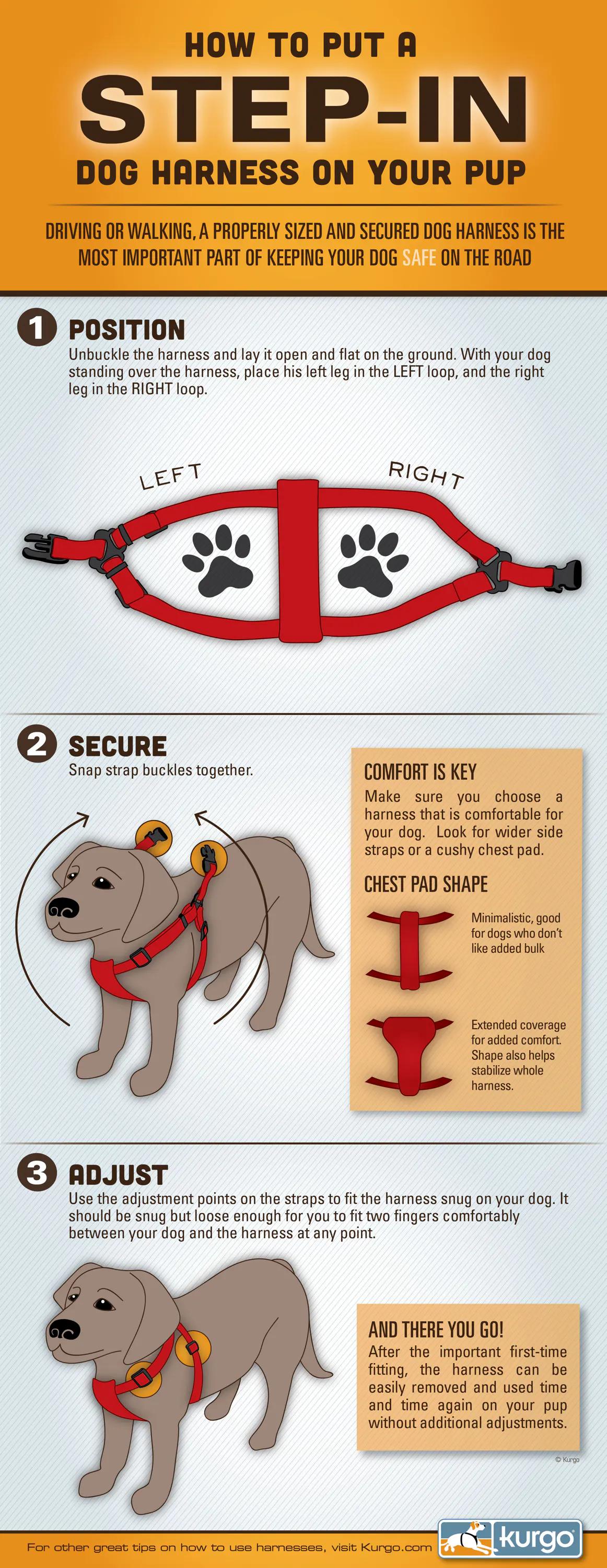 How To Put On A Step In Dog Harness