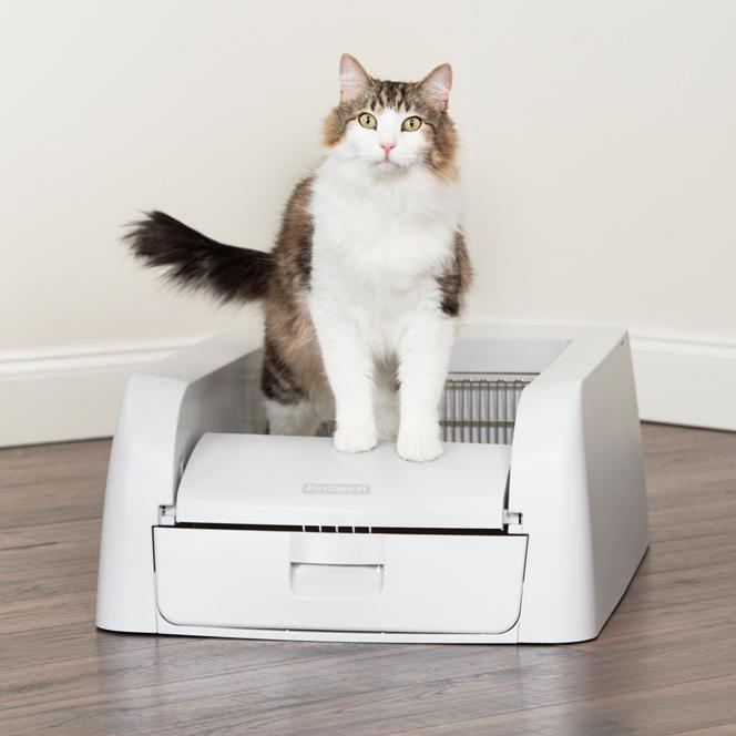 Cat litter box