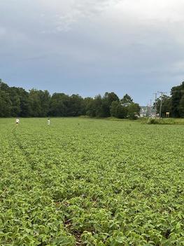 209398253_10159483166579697_3832602897358196200_n-1