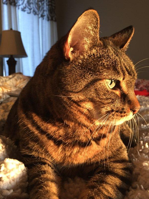 Missing Emma: Still Grieving a Year Later