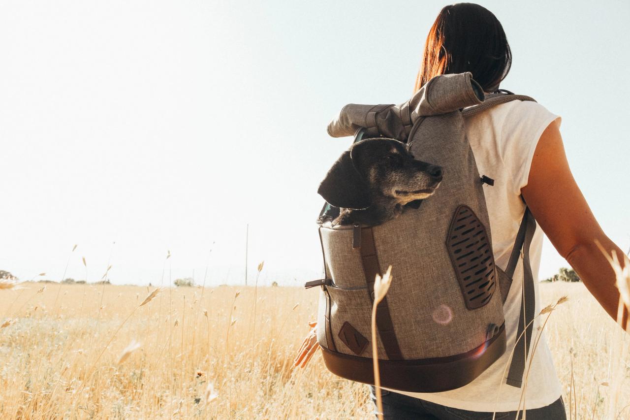 Rucksack