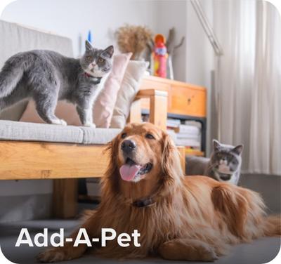 "Add-a-pet" with image of a dog and two cats in living room setting