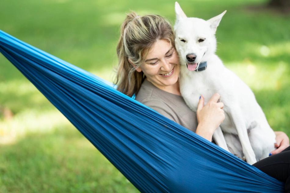 Training Collars: a Vet Gives You the Pros and Cons of Different Types