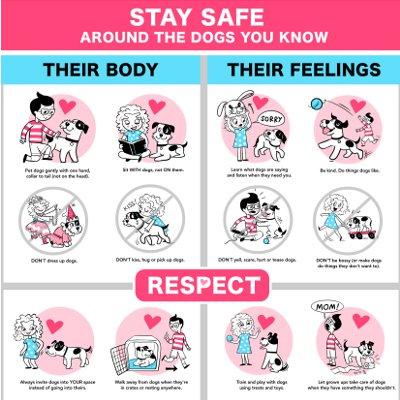 Infographic