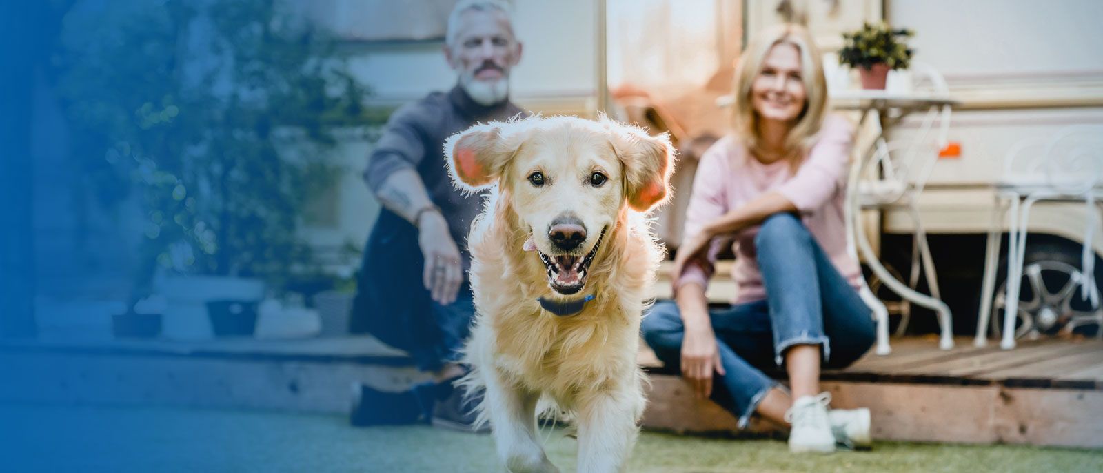 Dog runs and plays freely in yard while family observes confidently.