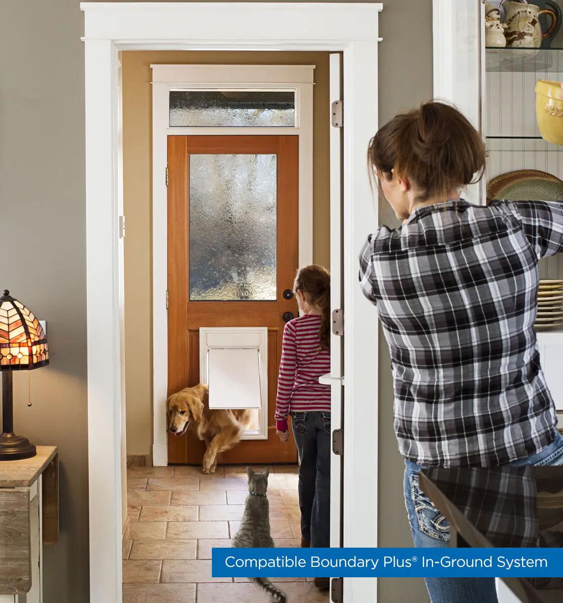 Dog entering home through dog door while family is inside. Text on image: Compatible boundary plus in-ground system