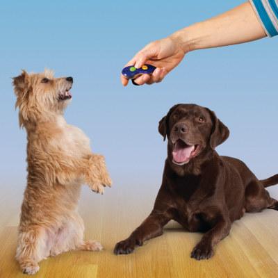 signs of stress anxiety in dogs