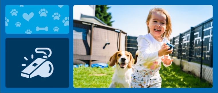 a grid of images one is a paw print and bone pattern, a whistle icon, and a girl running around yard with small dog