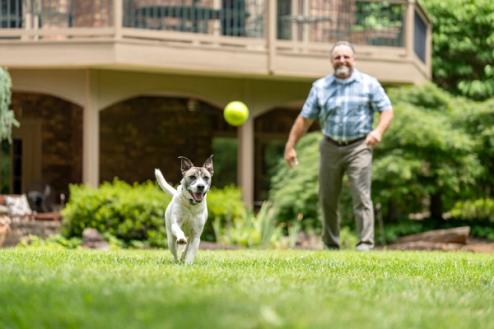 man plays fetch with dog in yard with invisible fence
