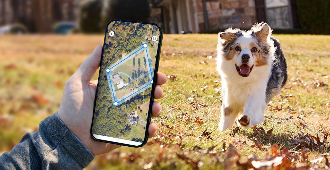 Dog running in yard with mobile phone showing fence boundary in foreground