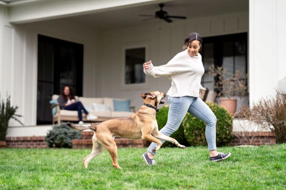Dog running with woman