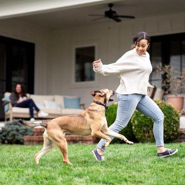 Dog running with woman