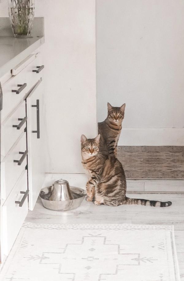 richiamo pubblicitario